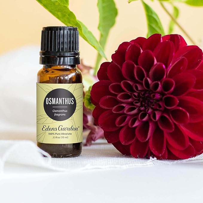Edens Garden Osmanthus Essential Oil- 100% Pure Premium Grade, Undiluted, Natural, Therapeutic, Aromatherapy, The Best for Diffuser, Skin, Face, Hair 10 ml (.33 fl oz)-VivaGrace Women