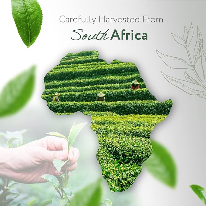 HBNO Tea Tree Oil for Skin 4oz (120 ml) - Bring Refreshing Aroma of Tea Trea Essential Oil - Perfect for Skin Therapy-VivaGrace Women