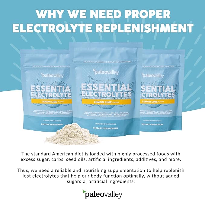 Paleovalley Essential Electrolytes Powder - Full Spectrum Lemon Lime Electrolyte Powder for Hydration, Energy and Muscle Recovery - No Sugar Added - 28 Servings-VivaGrace Women
