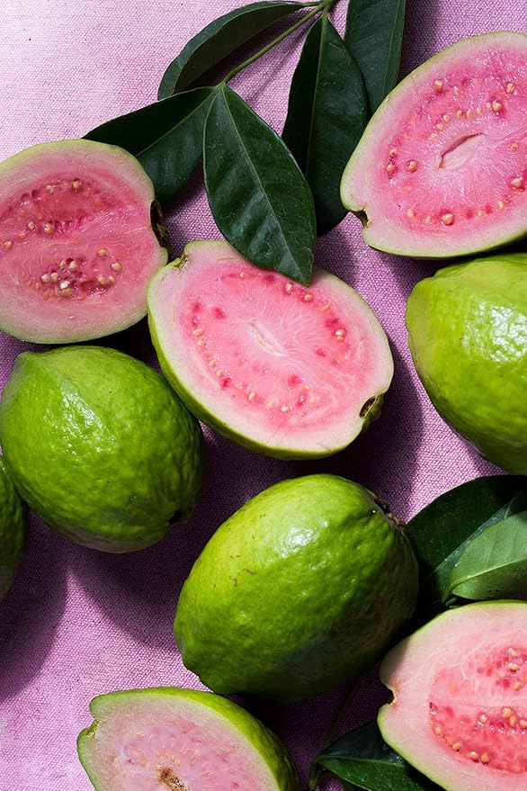 KORRES Elasti-Smooth Body Butter Cream, Dry Skin Lotion with Shea Butter and Almond Oil, Moisturizing, Firming, Tightening and Hydrating After Shower Care For Women & Men, Guava Fragrance, 4.23 Fl Oz-VivaGrace Women