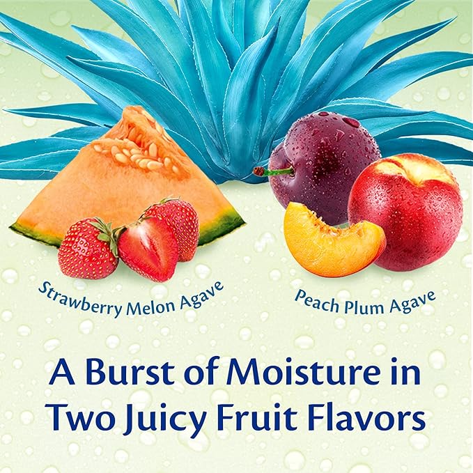 Blistex Lip Succulence-VivaGrace Women