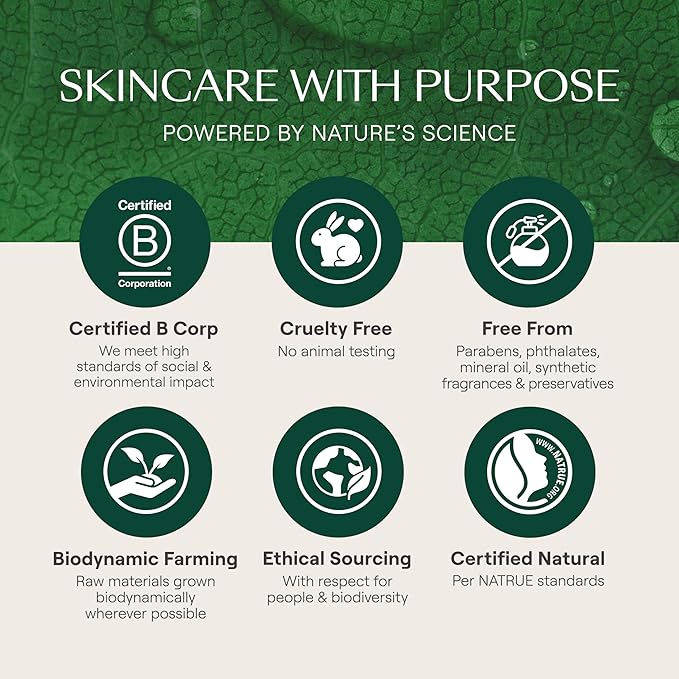 Weleda Skin Food Lip Butter, 0.27 Ounce, Plant Rich Moisturizing Lip Care with Sunflower Seed Oil, Chamomile and Calendula-VivaGrace Women