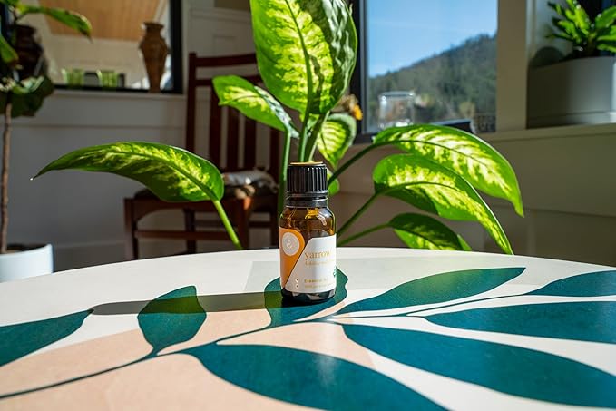 Aromatics International Premium Organic Yarrow Essential Oil 18ml | 100% Pure Essential Oil for Diffusion & Aromatherapy-VivaGrace Women