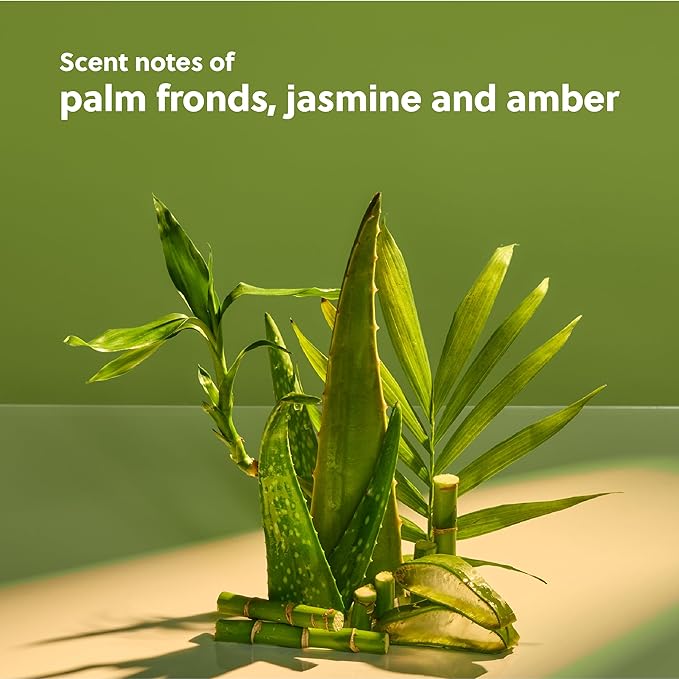 Tree Hut Palm Grove Shea Sugar Scrub | Exfoliating Body Scrub Removes Dead, Dry Skin for a Soft & Hydrated Feel | Nourishing Essential Body Care | 18 fl oz.-VivaGrace Women