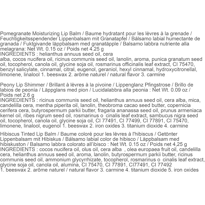 Burt's Bees Mistletoe Kiss Lip Care Stocking Stuffers Holiday Gift Set, Mistletoe Kiss Set, Pomegranate, Peony & Hibiscus-VivaGrace Women