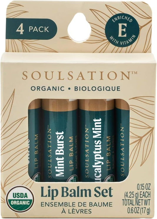 Organic Lip Balm Set, 4 Flavors - Moisturizing for Cracked & Dry Lips-VivaGrace Women