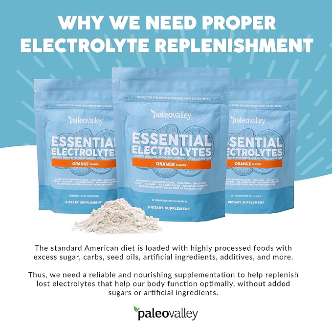 Paleovalley Essential Electrolytes Powder - Full Spectrum Orange Electrolyte Powder for Hydration, Energy and Muscle Recovery - No Sugar Added - 28 Servings-VivaGrace Women