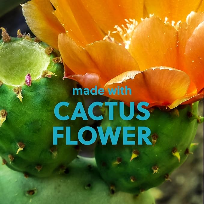 Tree Hut Desert Haze Shea Sugar Scrub | Exfoliating Body Scrub Removes Dead, Dry Skin for a Soft & Hydrated Feel | Nourishing Essential Body Care | 18 fl oz.-VivaGrace Women