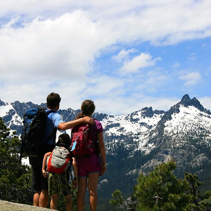 Badger Highland Mint Classic Lip Balm - 0.15oz Stick-VivaGrace Women