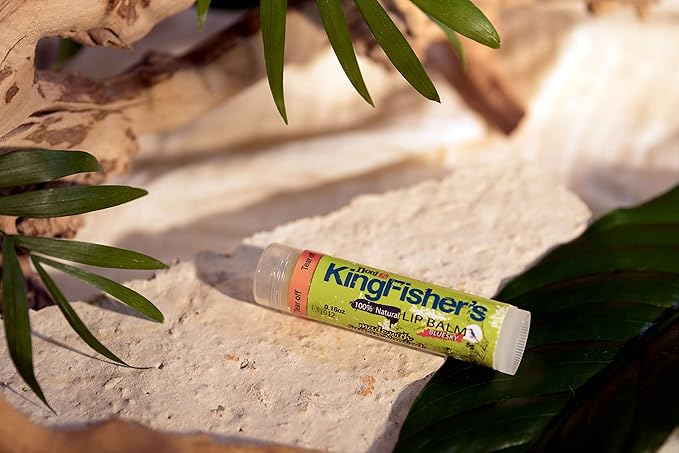 Lip Balm Mint,100% Natural Moisturizing Lip Balm, Ultra Hydrating Lip Care, Original Noni Oil & Virgin Coconut Oil, Fresh Mint Flavor Lip Care (Pack of 2)-VivaGrace Women