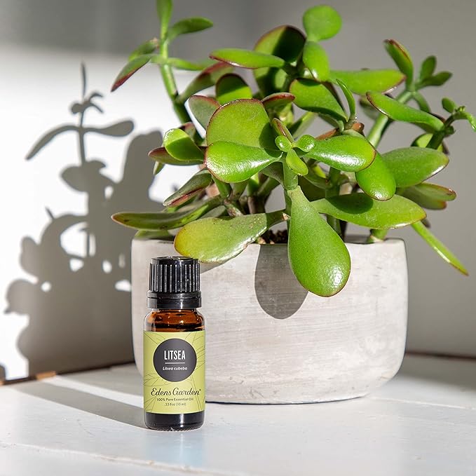 Edens Garden Litsea Essential Oil- 100% Pure Premium Grade, Undiluted, Natural, Therapeutic, Aromatherapy, The Best for Diffuser, Candle, Laundry, Humidifiers 30 ml (1 fl oz)-VivaGrace Women