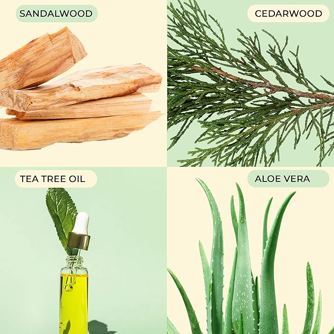 Body Prescriptions Men’s Exfoliating Body Scrub – Ultimate Skin Cleansing Wash in Jar with Twist-Top Lid, For All Skin Types, 21 Ounce (Pack of 4), Combo Pack-VivaGrace Women