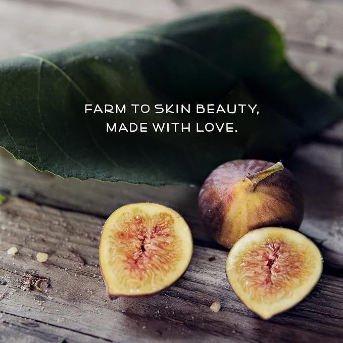 Farmstead Apothecary 100% Natural Lip Balm with Organic Beeswax, Organic Shea Butter & Organic Coconut Oil, Fig & Honey 0.25 oz-VivaGrace Women