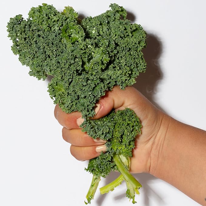 Pacifica Kale Yeah! Redness Rehab Serum – Niacinamide & Super Greens Face Serum to Calm Redness, Minimize Pores & Oil, Soothing Anti-Redness for Oily/Combination Skin Vegan Dermatologist Tested-VivaGrace Women