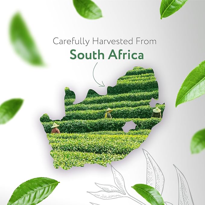 HBNO Organic Tea Tree Oil - Huge 16 oz (475ml) Large Size - Ideal for Diffusers, Cleaning Agents, Deodorizers, and Flavoring Agents.-VivaGrace Women