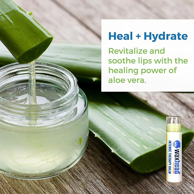 Waxhead Organic Lip Balm Vanilla - Sunburn Relief, Lip Moisturizer for Very Dry Lips, Lip Therapy, Lip Repair for Dry Cracked Lips, Healing Lip Balm for Severely Chapped Lips (4 pack)-VivaGrace Women