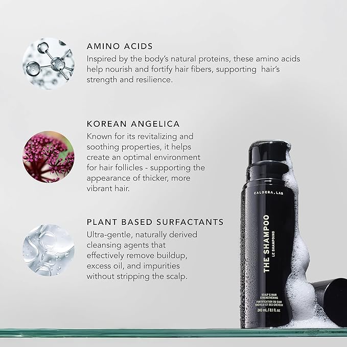 Caldera + Lab The Shampoo | Men’s Shampoo for Healthy Hair, Sulfate-Free Daily Cleanser, Dermatologically Tested - All Hair Types-VivaGrace Women
