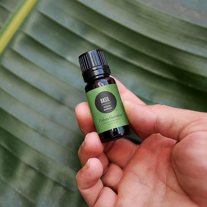 Edens Garden Basil Essential Oil- 100% Pure Premium Grade, Undiluted, Natural, Therapeutic, Aromatherapy, The Best for Diffuser, Skin, Candle, Laundry 30 ml (1 fl oz)-VivaGrace Women
