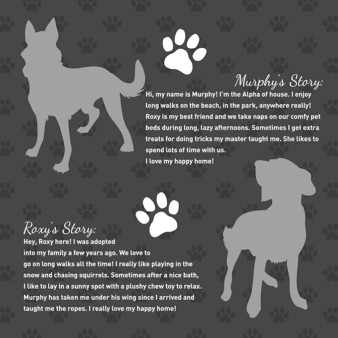 MR30 Murphy & Roxy Pet's Super Absorbent, Six-Layer, Scented Training Pads (30 Pack), Blue-VivaGrace Women