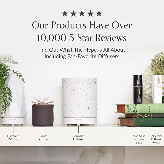 Edens Garden Basil Essential Oil- 100% Pure Premium Grade, Undiluted, Natural, Therapeutic, Aromatherapy, The Best for Diffuser, Skin, Candle, Laundry 10 ml (.33 fl oz)-VivaGrace Women