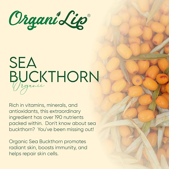 Organic Lip Balm, Spearmint Flavor, Ultra Hydrating Lip Moisturizer for Dry Lips, Oval Shaped Tube, USDA Certified Organic, 3 Pack - OrganiLip-VivaGrace Women