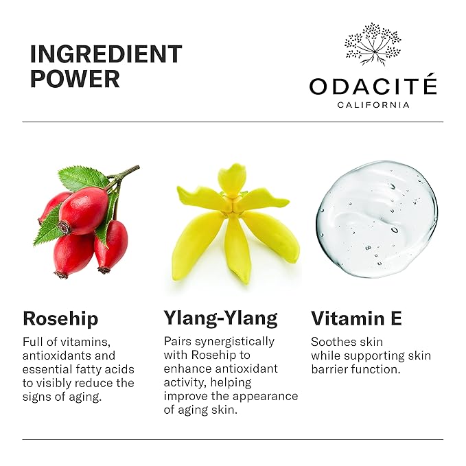 Odacité Anti Aging Serum Concentrate with Rosehip + Ylang-Ylang - Lightweight Facial Serum For Mature Skin, Fine Lines, Nourishes for Look of Plump, Youthful Skin - 0.17 Fl. Oz-VivaGrace Women