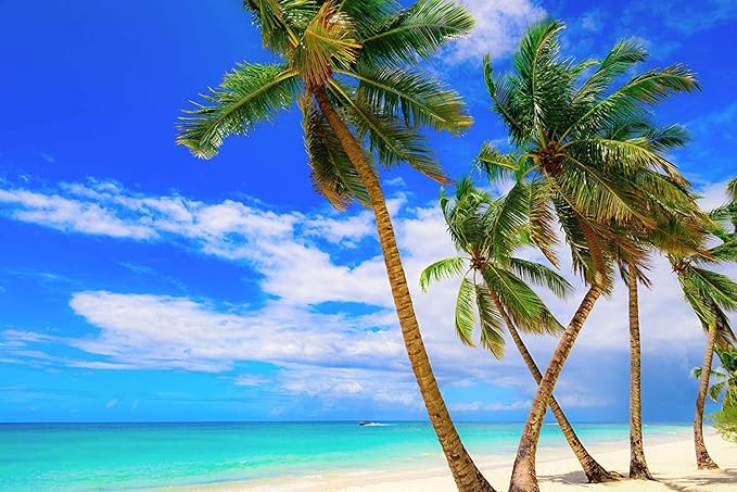 US Organic Fractionated Coconut MCT Oil (Liquid Coconut Oil), USDA Certified Organic, Non-GMO, Perfect for massage, carrier oil for DIY blends, Hair, Skin care. 100% Pure, Hexane-Free (8 oz)-VivaGrace Women