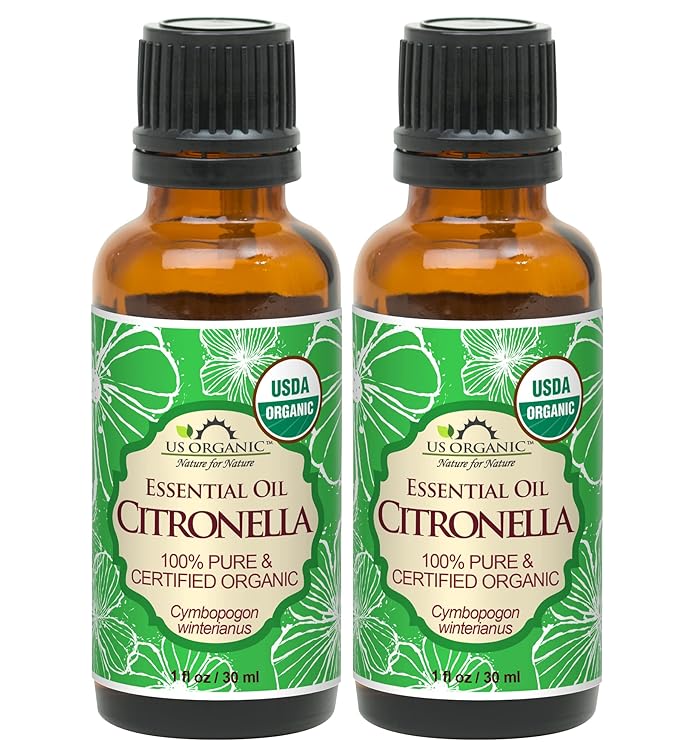 US Organic Citronella Essential Oil, USDA Certified, 100% Pure, 30 ml Pack of 2, Improved caps and droppers – Used for Skin Care, Many DIY Projects Like Candle Making and Much More-VivaGrace Women