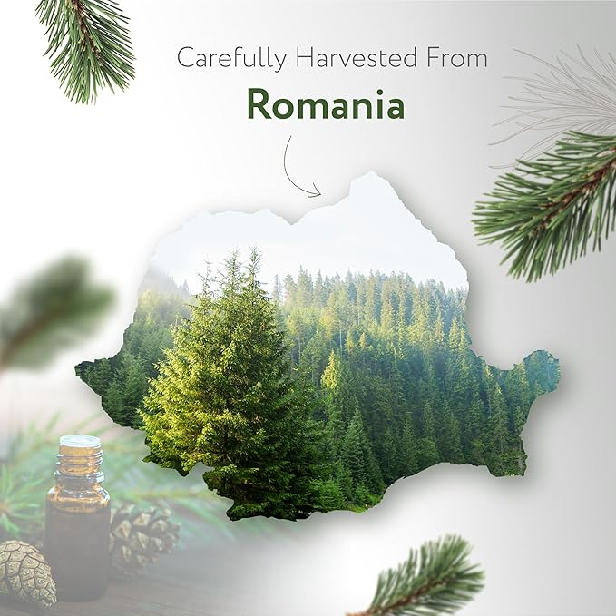 HBNO California Bottled Pine Needle Essential Oil 4 fl oz (120ml) - Natural Pine Needle Oil - Perfect for Cleaning, Aromatherapy, DIY, Soap & Diffuser-VivaGrace Women