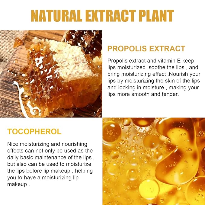 4Pcs Lip Balm Honey Pot, Propolis Moisturizing Honey Lip Mask Lip Balm, Reduces Lip Lines, Prevention Dry and Cracked Lip Scrubs Exfoliator. …-VivaGrace Women
