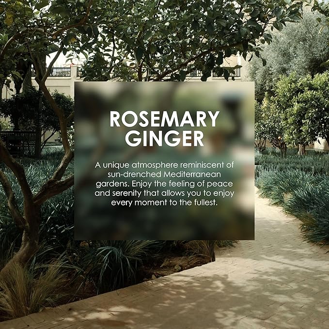 Jean & Len Heavenly Hand & Body Balm Rosemary & Ginger, for a fragrant care experience, with organic argan oil and shea butter, minimalistic bottle, without parabens & silicones, 16.91 Fl. Oz.-VivaGrace Women