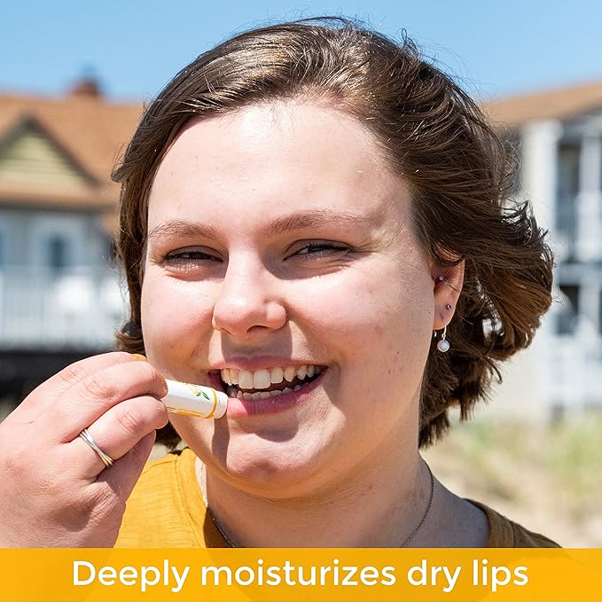 All Natural Lemon Moisturizing Lip Balm Gift Ornament for Holiday Stocking Stuffers, All Day Hydration, Original beeswax, Shea butter, Jojoba oil, Vitamin E and Love - Pack of 4 Tubes-VivaGrace Women