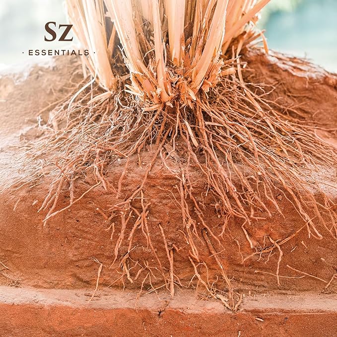 Vetiver Essential Oil - 100% Pure, Premium & Natural - Undiluted - Sweet, Earthy, Woody and Grassy Scent with Smoky grounding Undertones- Therapeutic Grade & Vegan - 1/6 oz. (5 mL)-VivaGrace Women