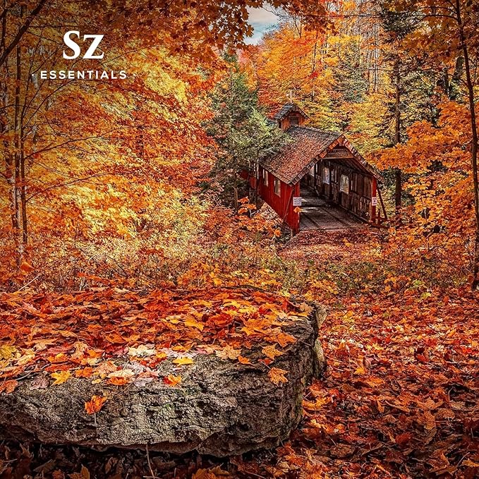 Pumpkin Spice Essential Oil Blend for Diffuser and Humidifier - 100% Pure and Natural - Rich Pumpkin Spice Scent, with Fruity and Spicy Overtones - Vegan - 0.17 floz (5 mL)-VivaGrace Women