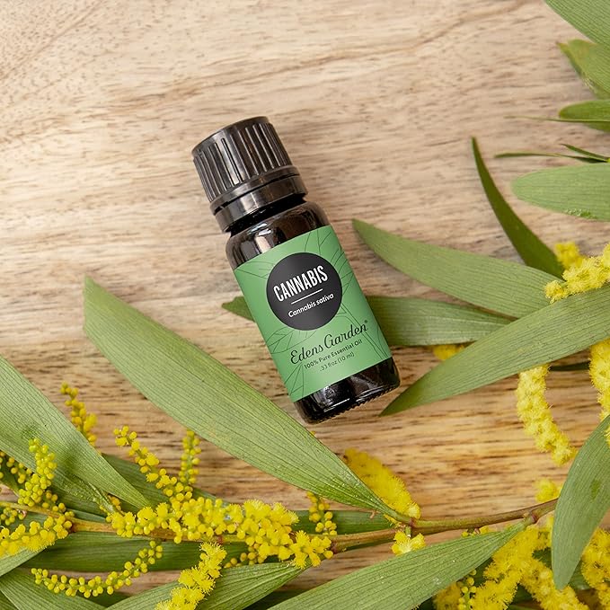 Edens Garden Cannabis Essential Oil- 100% Pure Premium Grade, Undiluted, Natural, Therapeutic, Aromatherapy, The Best for Diffuser, Skin, Candle, Humidifiers 10 ml (.33 fl oz)-VivaGrace Women