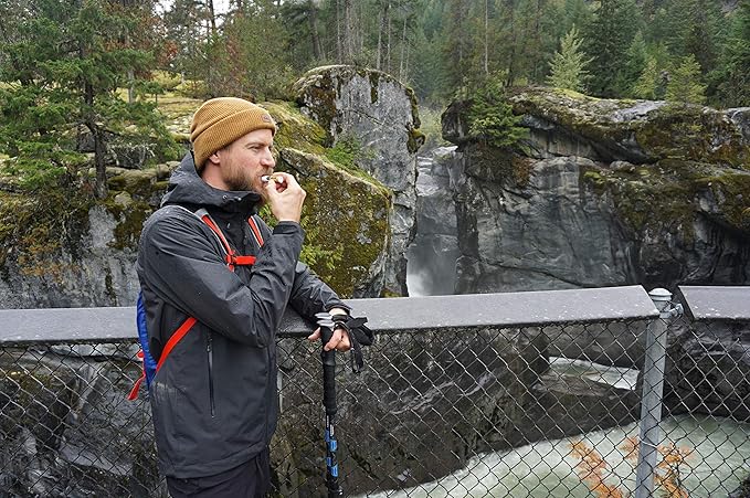 All Good Organic SPF15 Lip Balm - Hydrating Lip Care with Olive Oil, Beeswax, Calendula, Lavender, Vitamin E - Lip Moisturizer with Zinc Oxide Protection - Original, Spearmint & Coconut (6-pack)-VivaGrace Women