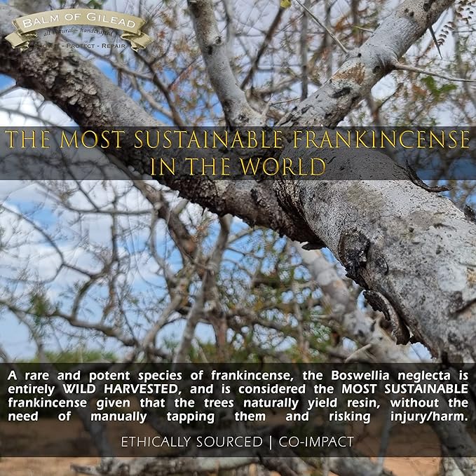 BALM OF GILEAD Neuropathy Frankincense & Sweet Myrrh Therapeutic Rubbing Oil - Instant Diabetic's & Autoimmune Dry Skin Relief & Repair, 2 fl oz-VivaGrace Women