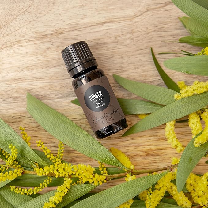 Edens Garden Ginger CO2 Essential Oil- 100% Pure Premium Grade, Undiluted, Natural, Therapeutic, Aromatherapy, The Best for Diffuser, Candle, Laundry, Humidifiers 10 ml (.33 fl oz)-VivaGrace Women