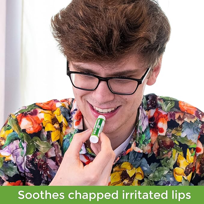 Handmade Moisturizing Mint Lip Balm - All Natural, All Day Hydration, Smooth & Soft Care for Women, Men and Kids - Original Beeswax, Shea Butter, Jojoba Oil, Vitamin E - Pack of 4-VivaGrace Women