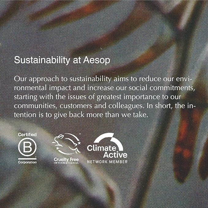 Aesop Redemption Body Scrub | Finely Milled Pumice and Aromatic Botanicals to Polish the Skin | 6.5oz / 180mL-VivaGrace Women